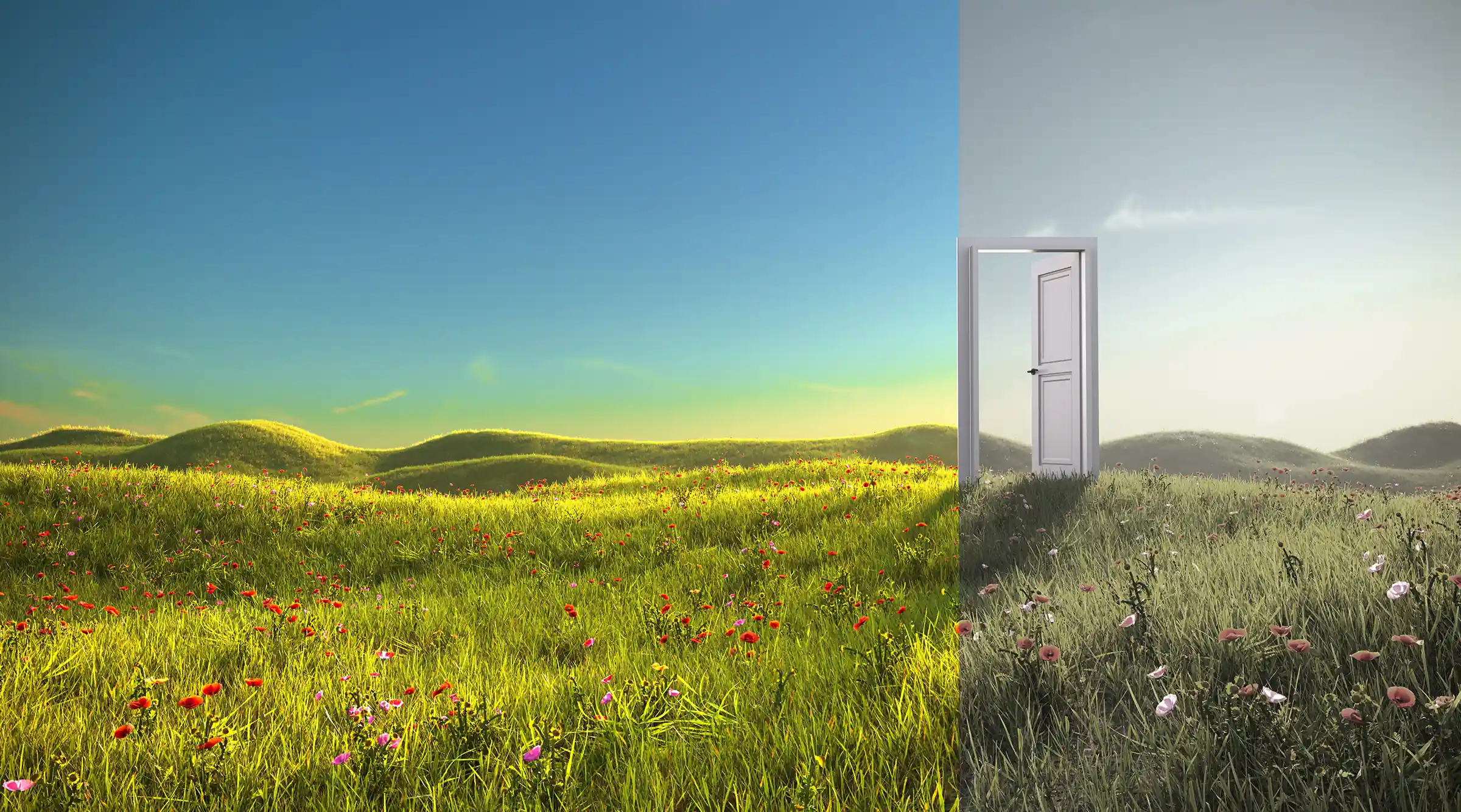 beautiful landscape with gentle hills, blue sky and green meadows on left side of a doorway, to the right the continued landscape with more grey and muted colors
