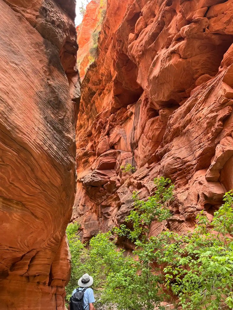 narrow chasm in desert landscape near utah and nevada, usa