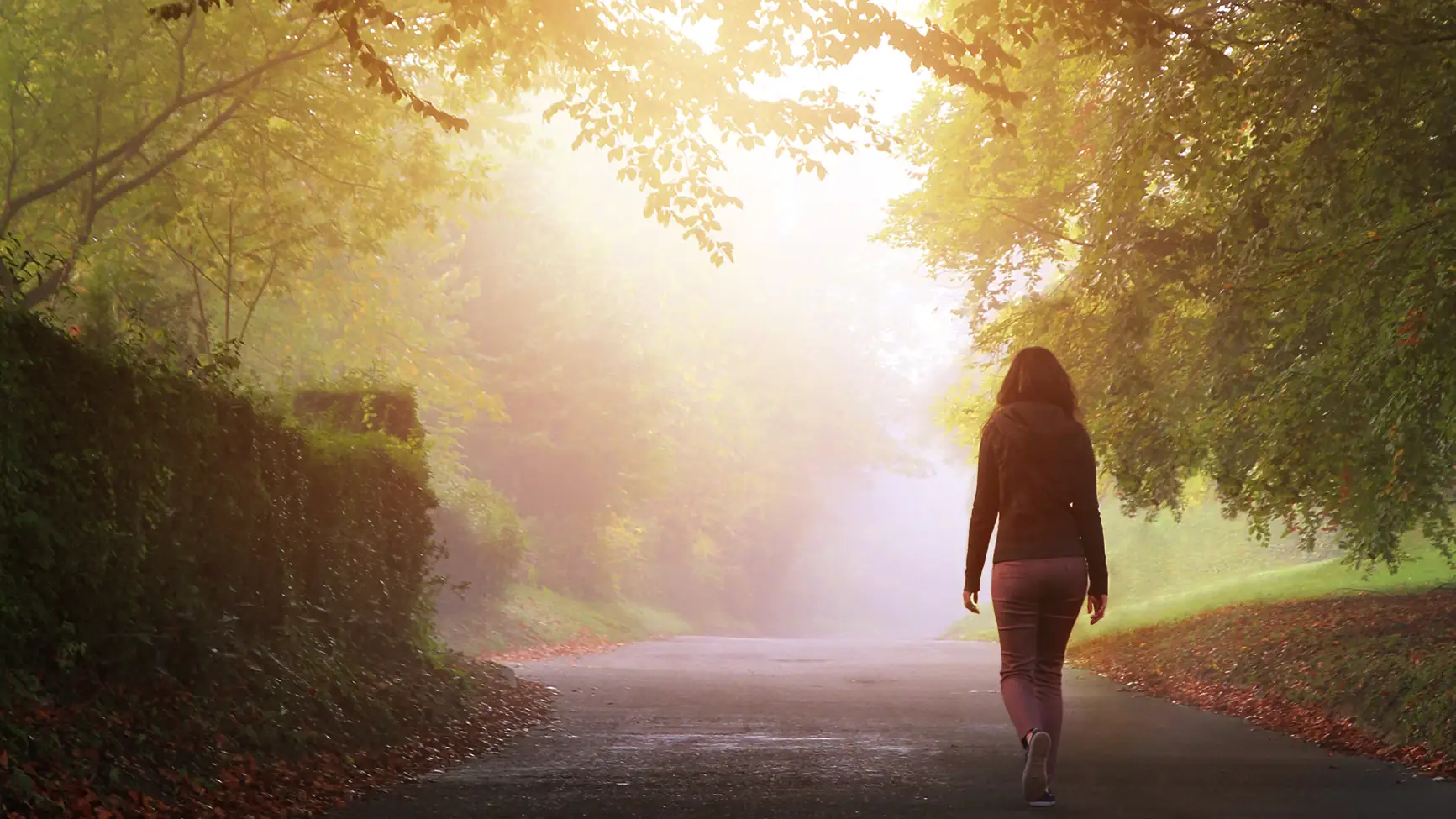 photo of a woman walking down a foggy forest road